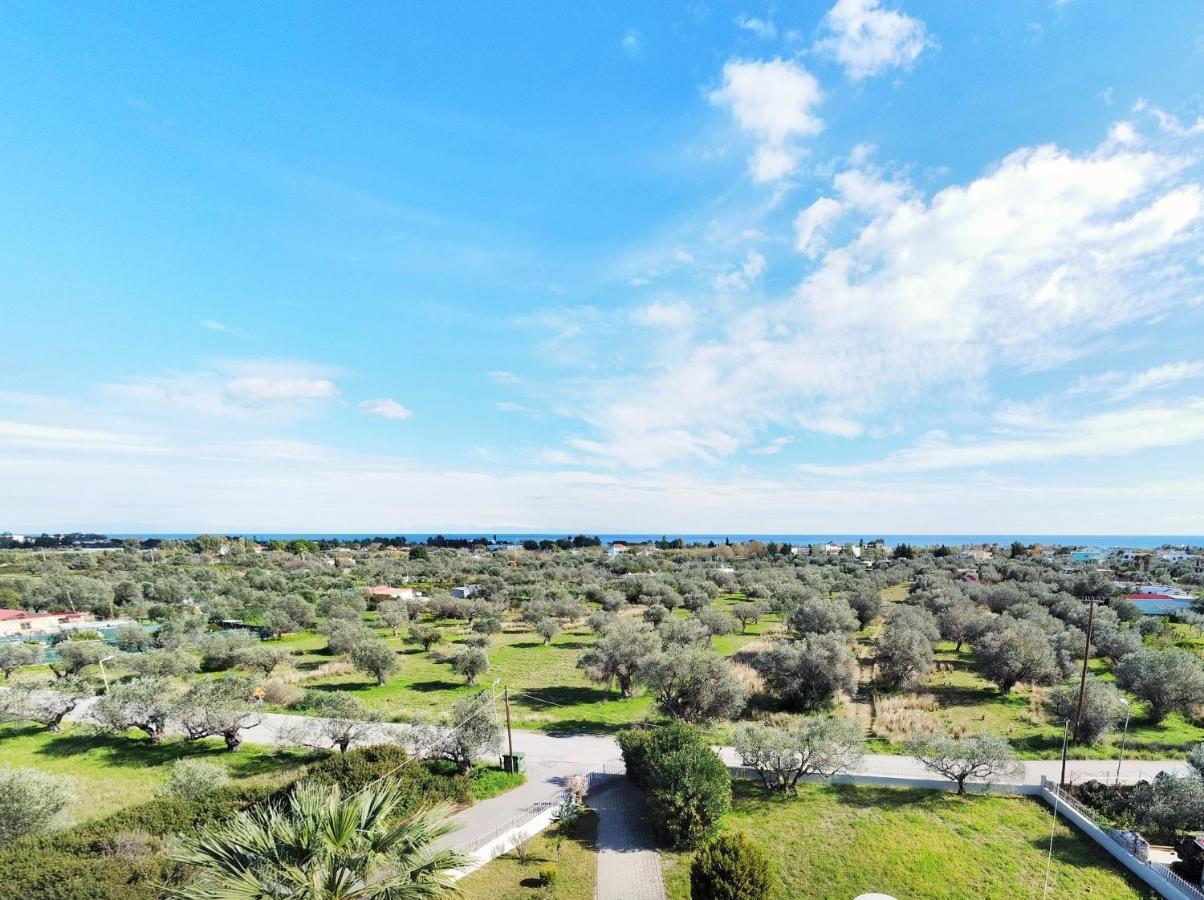 Olive Grove Lägenhet *