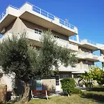 Villa Olive Grove