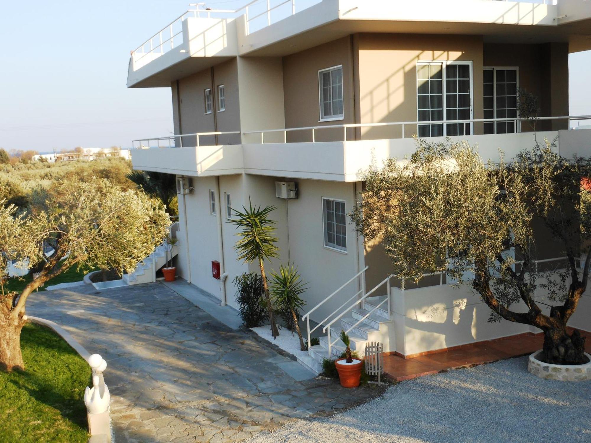 Olive Grove Afantou